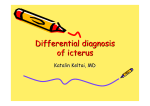 differential-diagnosis-of