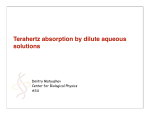 Terahertz absorption by dilute aqueous solutions