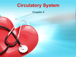 Circulatory System - La Salle Elementary School