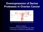 Overexpression of Serine Proteases in Ovarian Cancer