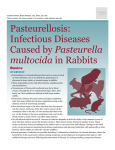 Pasteurellosis: Infectious Diseases Caused by Pasteurella