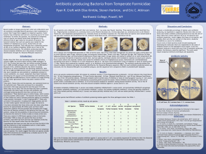 Antibiotic-producing Bacteria from Temperate Zone Formicidae