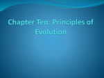 Chapter Ten: Principles of Evolution