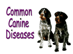 Canine Diseases Powerpoint