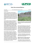 Early Successional Habitat - America`s Longleaf Restoration Initiative