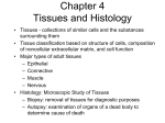 histology-3