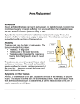 Knee Replacement