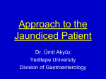Approach to the Jaundiced Patient - University of Yeditepe Faculty of