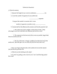 Earthworm dissection