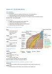 Lecture 13 – The brachial plexus