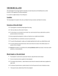 thyroid gland - Pharmacy Fun