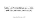 Microbial fermentative processes, biomass, enzymes, amino acids