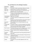 The Land Beneath Our Feet (Geology) Vocabulary