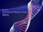 12.1 DNA as Genetic Factor File