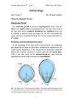 Embryology