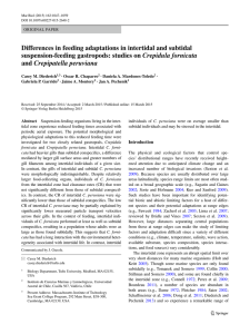 Differences in feeding adaptations in intertidal and