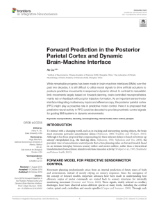 Forward Prediction in the Posterior Parietal Cortex and Dynamic
