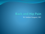 Back and Hip Pain