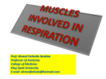 2-MUSCLES INVOLVED IN RESPIRATION