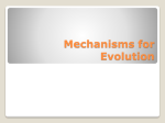 Mechanisms for Evolution