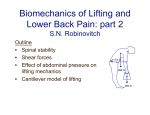 Biomechanics Of Lifting And Lower Back Pain: Part 2