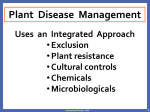 Plant Disease Management