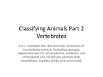 Classifying Animals Part 2 Vertebrates