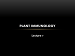 plant immunology lecture 9.