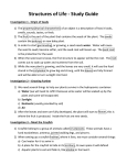 Study Guide print out