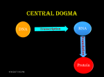 GENETIC CODE