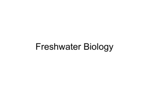 Freshwater Biology - Chaparral Star Academy