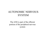 AUTONOMIC NERVOUS SYSTEM