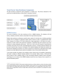 Team Process* Data Warehouse Components