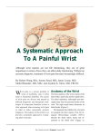 A Systematic Approach To A Painful Wrist