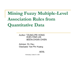 Mining Fuzzy Multiple-Level Association Rules from Quantitative Data