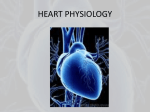 Heart Physiology Notes