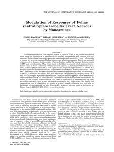 Modulation of Responses of Feline Ventral Spinocerebellar Tract