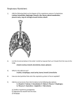 handout - hrsbstaff.ednet.ns.ca