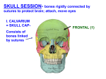 Skullsessionfirst2010