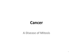 Cancer, Disease of Mitosis PowerPoint