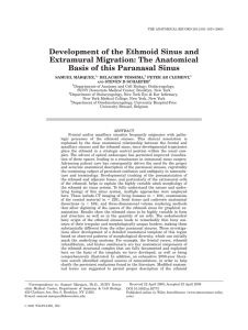 Development of the Ethmoid Sinus and Extramural Migration: The