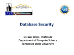 Database Security - Tennessee State University