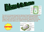 Plant Cell Powerpoint