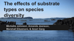 The effects of substrate types on species diversity