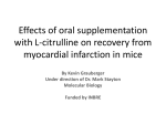 Effects of oral supplementation with L