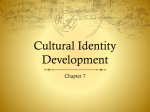 Racial and Cultural Identity Development Model