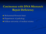 Carcinomas with DNA Mismatch Repair Deficiency