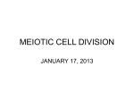 meiotic cell division - CAPE Biology Unit 1 Haughton XLCR 2013
