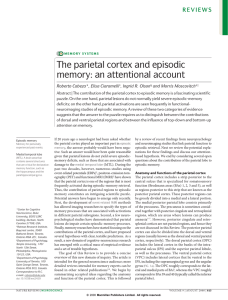 The parietal cortex and episodic memory: an