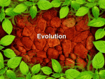 Evolution (natural Selection) PPT